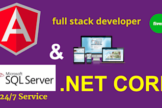 develop a web application with angular and asp net API