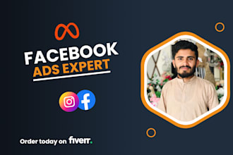 setup facebook ads campaign, instagram ads campaign, fb advertising,ig marketing