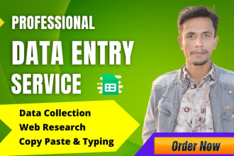 do data entry, web research, typing and copy paste work