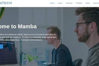 make custom mern stack website using nodejs reactjs as mern stack developer