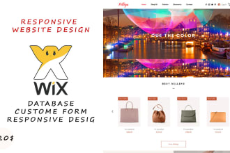 develop a wix editor x website, create database custome form