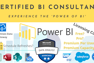 consult, setup and manage power bi service