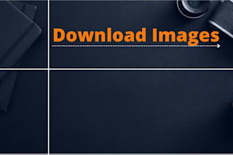 assist to download images