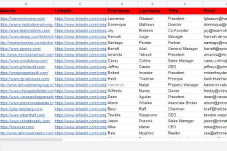 provide perfect companies info with verified emails unique web researching