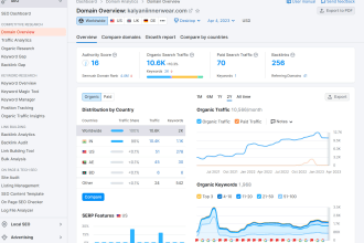 local SEO expert, website audit, link building  on page, off page