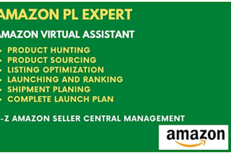 be your amazon virtual assistant and manage your store