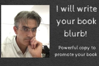 write your book blurb