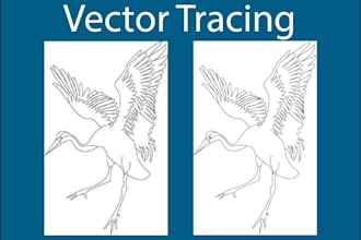 do vector tracing, redraw logo, image to vector