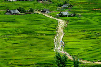 design great deals for vacation