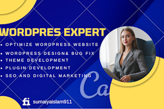 fix and optimize wordpress speed seo and bugs