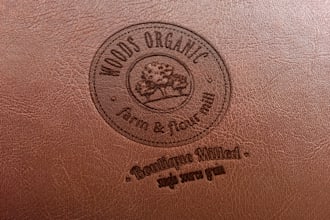 design an Awesome and Amazing logo within 16 hrs