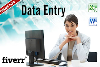do any DATA Entry work for you