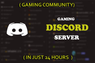 setup custom gaming discord server within 24 hours, gaming community