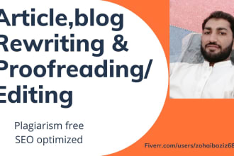 rewrite, edit and proofread your article and blog