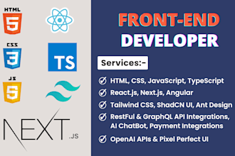 do frontend website development using react js and next js