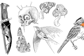make a ilustration in my style