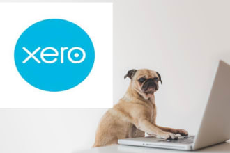 help you master xero bookkeeping software in no time