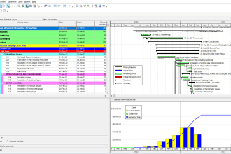 plan and create project schedule, wbs, gantt chart on primavera p6, ms project
