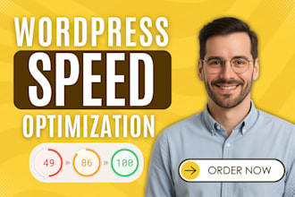 do wordpress speed optimization for google pagespeed insights