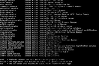 setup your linux server