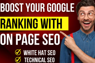 do pro onsite onpage SEO optimization for google top ranking
