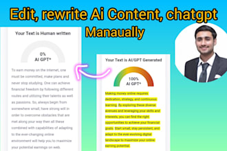 manually edit, rewrite, humanize ai content, plagiarism free in 24 hours