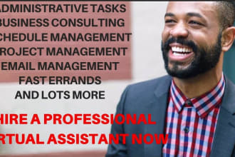 be your executive virtual assistant