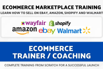 teach you amazon, ebay, walmart, shopify dropshipping