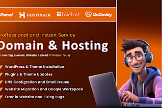 setup hostinger, godaddy, bluehost hosting and fix dns and email issues