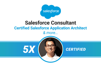 be your salesforce integration or job support expert