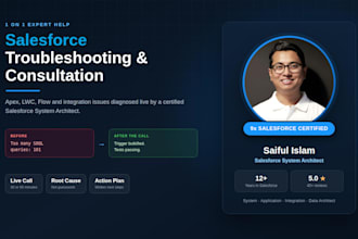 provide expert salesforce troubleshooting and consultation