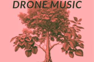 make an ambient meditative drone track for you
