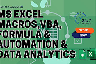 provide the best excel data entry, cleaning and vba