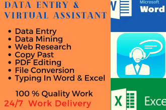 be your virtual assistant ,data entry and data mining