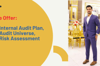 prepare audit plans risk assessment strategies and audit program of your company