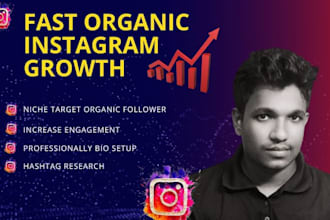 do fast organic instagram growth followers and engagement