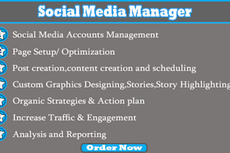 be social media manager