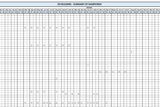do excel data entry works