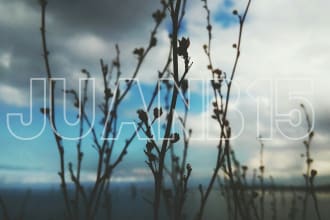 unique and beautiful photographs for your website
