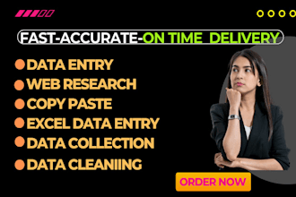 do data entry, web research, cop paste and data scraping