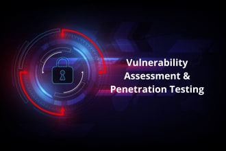 provide vulnerability assessment pentest and cyber security consultation report