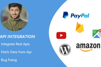 do api integration, development or bug solving