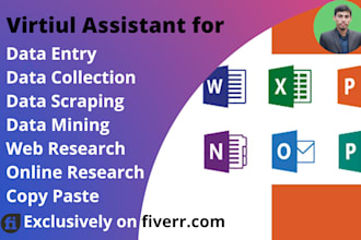 do data entry, data collection, web research of your job requirement