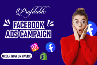 run and manage shopify facebook ads campaign