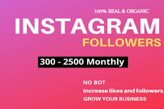 do instagram promotion for fast organic growth