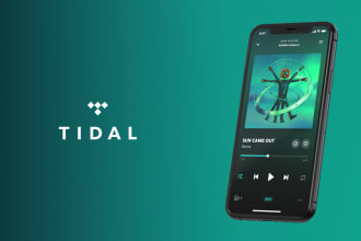 do viral tidal music promotion and increase fan base