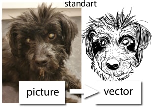 create a vector from photos