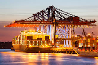 advise on international business, logistics and marketing