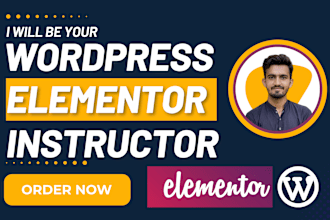 be your elementor and wordpress instructor, teacher via zoom 1 to 1