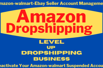 manage amazon dropshipping store with suspension